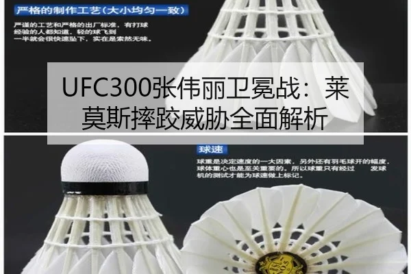 UFC300张伟丽卫冕战：莱莫斯摔跤威胁全面解析