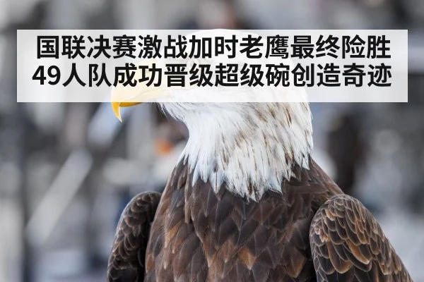 国联决赛激战加时老鹰最终险胜49人队成功晋级超级碗创造奇迹